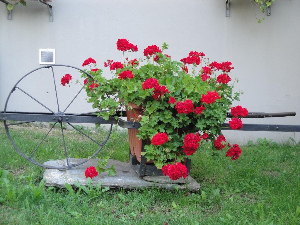 Bed & Breakfast Osteria Del Centro